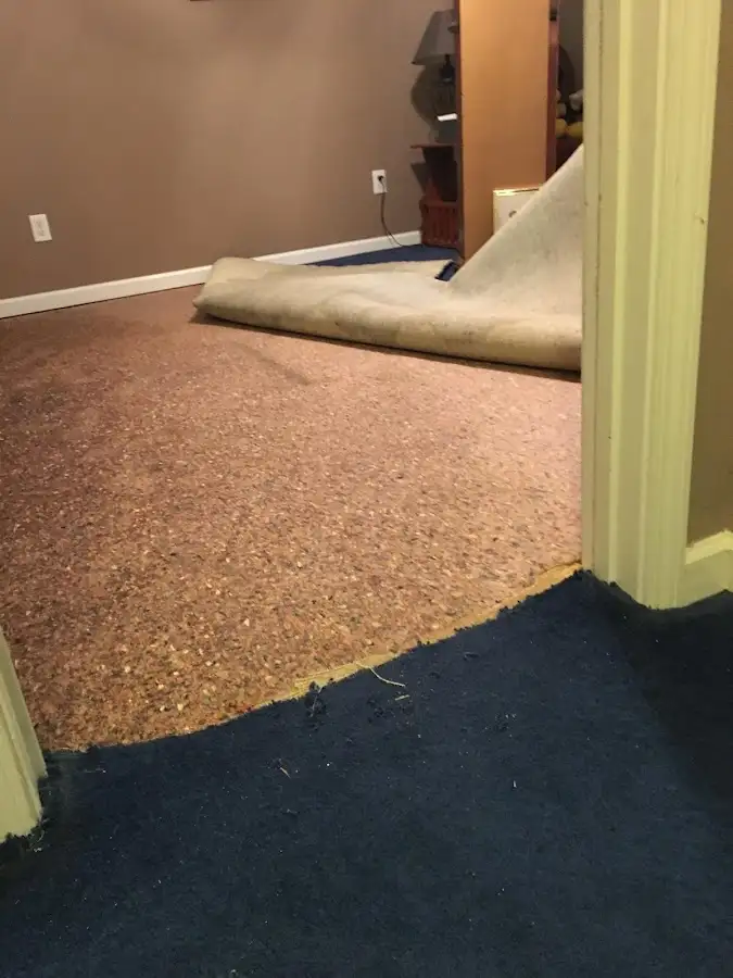 Carpet pad removal revealing water damage during Drying & Dehumidification in Brookside