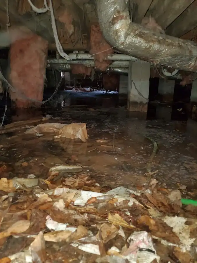 Crawl space flood assessment for Commercial Water Damage Restoration in Brookside